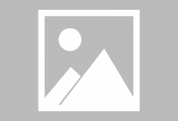 高木直子漫画,描绘日常生活的温馨与幽默